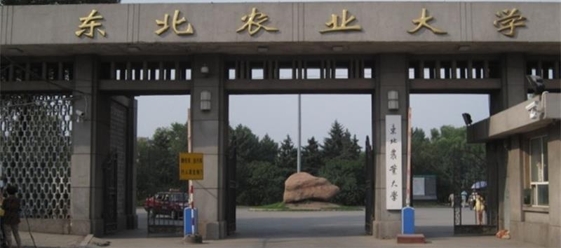 東北農(nóng)業(yè)大學(xué)校門 東北農(nóng)業(yè)大學(xué)校門
